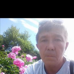 , 61, 