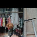 ���� Nur Linaa, ��������, 35 ��� - ��������� 3 ��� 2025 � ������ ���� ����������