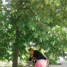 �������, ���������