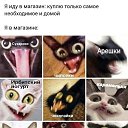 ���� ��������, ���������, 45 ��� - ��������� 25 ������� 2026 � ������ ������ ��������