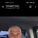 ���� ��������, ������������, 67 ��� - ��������� 8 ��� 2024 � ������ ���� ����������