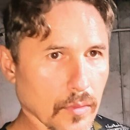 ������, ������, 51 ���