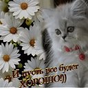 ���� ����, ����� - ��������� 12 ������� 2025 � ������ ������ ��������