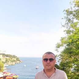 ����, 41 ���, ���������