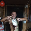 ���� ����, ����, 55 ��� - ��������� 28 ���� 2026 � ������ ���� ����������