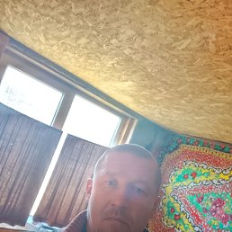 , 41, 