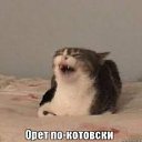 ���� �����, �����-���������, 51 ��� - ��������� 18 ������ 2024 � ������ ���� ����������