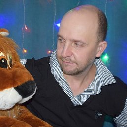 ������, ����������, 40 ���