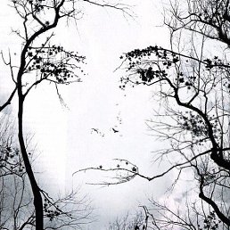 ���� ���sa, ������������, 60 ��� - ��������� 9 ����� 2026