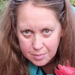 ������� ���������, ������, 39 ���