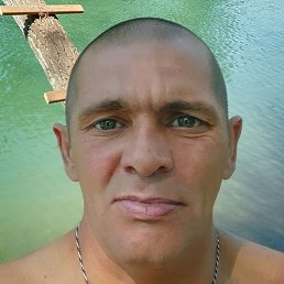 , , 41 