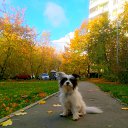 ���� �����, ������ - ��������� 14 ������ 2025 � ������ ������ ��������