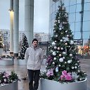 ���� ��������, ������, 49 ��� - ��������� 29 ������ 2026 � ������ ���� ����������