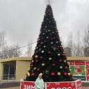 ���� ���������, ������ - ��������� 15 ������� 2025