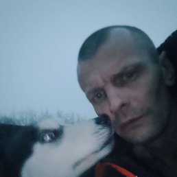, 39, 