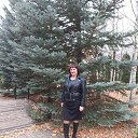 ���� �����, �������� - ��������� 28 ������� 2025