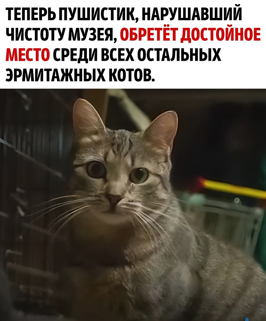    - 3
