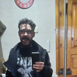 �������, 41 ���, ������