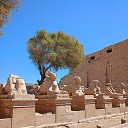 ���� ��������, ������ ��������, 62 ���� - ��������� 29 ������ 2025 � ������ �������������