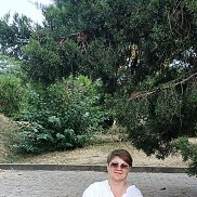 , 52 , 