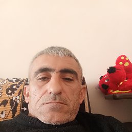 , 41, 