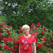 ���������, , ������