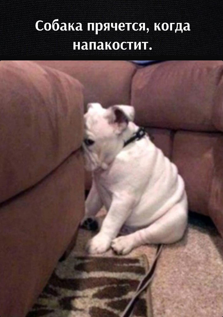     :