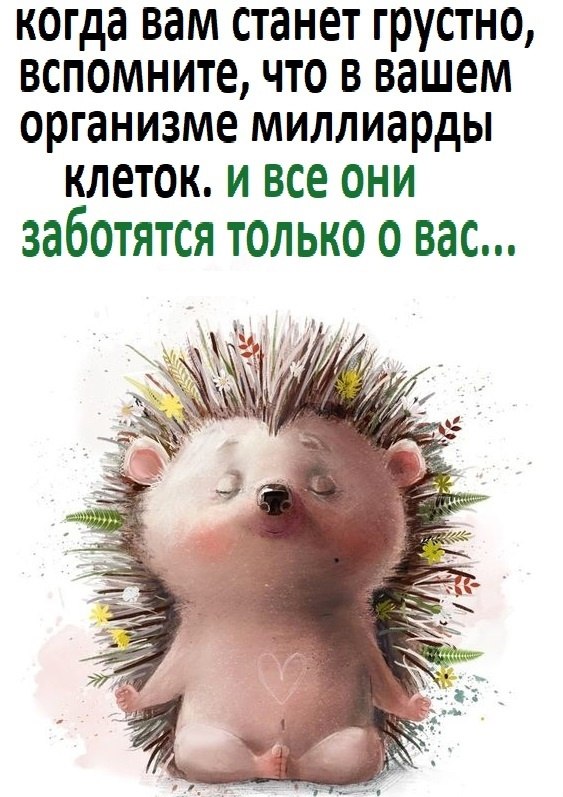 , !() - 2  2024  12:01