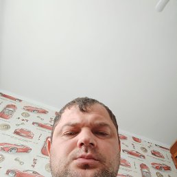 , 37, 