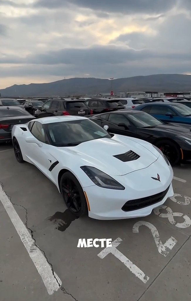 � ���� �������� ��������, ����� ���� ����� �� ���� ��������� ��������, ���� �� ���� �� ���������� ... - 2