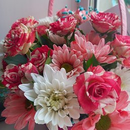 ������, ������, 43 ����