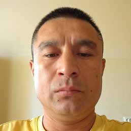 , , 41 