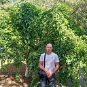 ���� ������, ���������, 38 ��� - ��������� 17 ������� 2025 � ������ ���� ����������