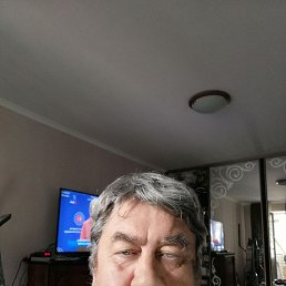 �����, 66 ���, ����������