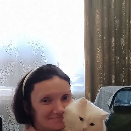 , 44 , 