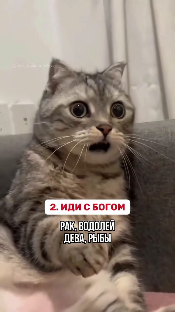      . ?