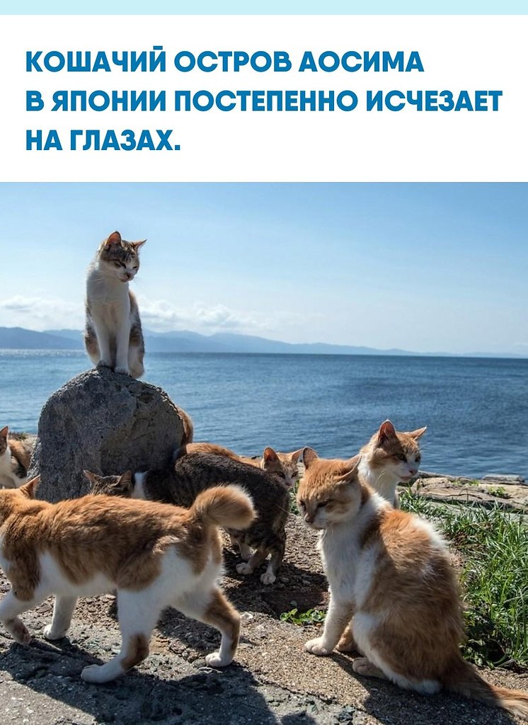 �oc��a ���ec��a �o�o�pa�����, ��e �ec���� ����c��� ��oc�o� �c�pe�a�� �o��� �a ��pce. ��ec� �e� ...