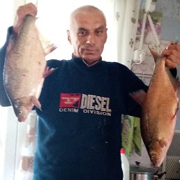 ���� ������, �����, 60 ��� - ��������� 20 ����� 2026