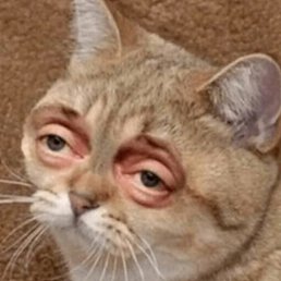 And714, ������������, 27 ���