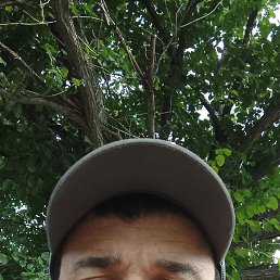 , 33, 