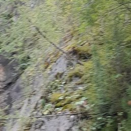 �������, ������, 51 ���