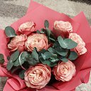 ���� ����, ������� - ��������� 11 ������� 2025 � ������ ���� ����������