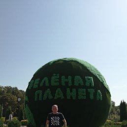 , 44, 