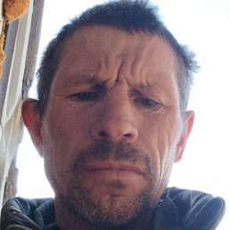 ������, ������, 51 ���