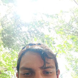 , 19 , 