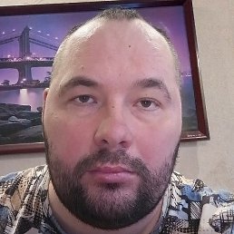 �����, �������, 37 ���