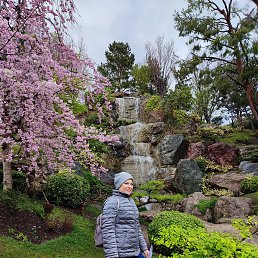 , 40, 