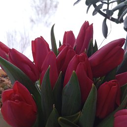 ���� �����, �����, 42 ���� - ��������� 27 ������� 2025