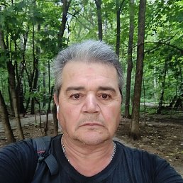 , 56, 