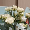  Nona,  -  22  2025
